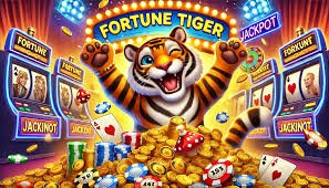 Studio dealer langsung arai slot dengan peralatan HD multi-kamera